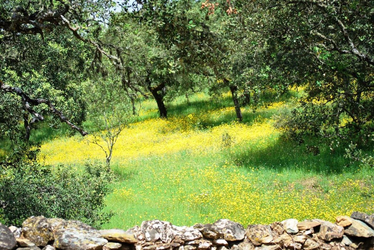 El Alojamiento Rural De Peter Aracena Ngoại thất bức ảnh